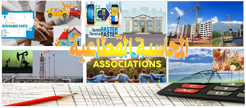 المحاسبة القطاعية 1  CS2026